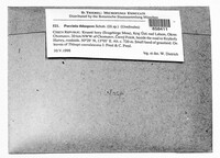 Puccinia thlaspeos image